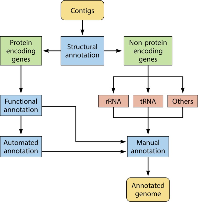 FIG 3