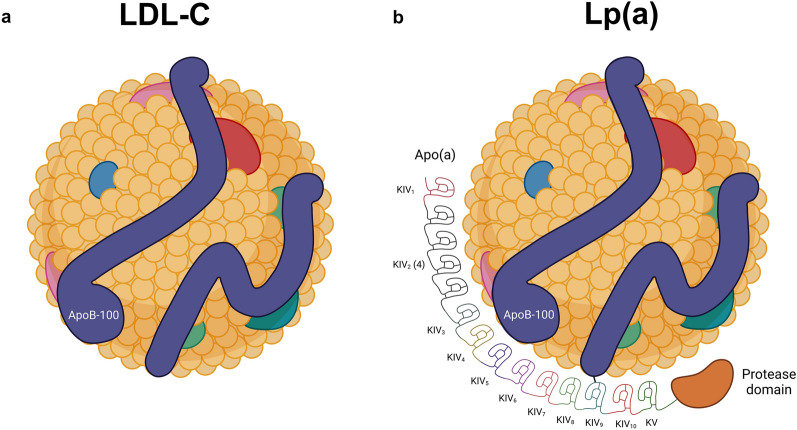 Fig. 2