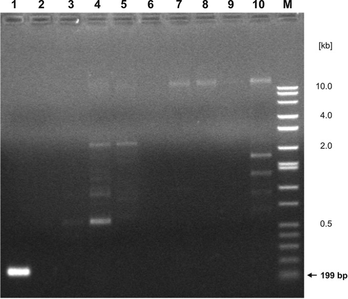 FIG 3