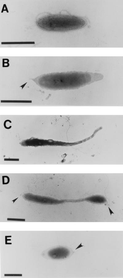 FIG. 5