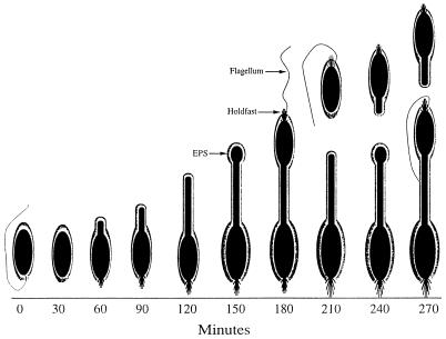 FIG. 9