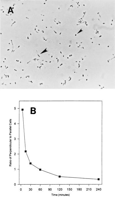 FIG. 8