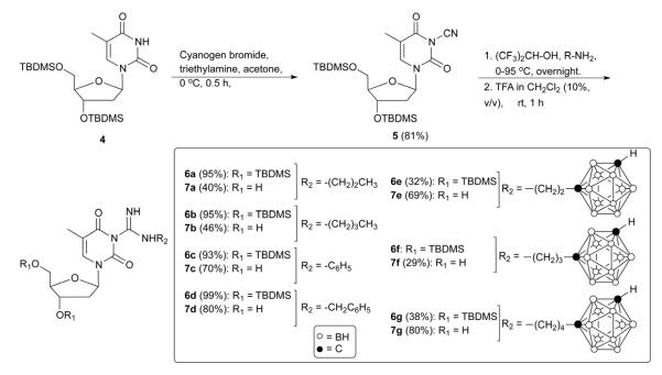 Scheme 2