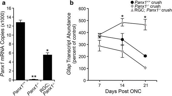 Fig. 11