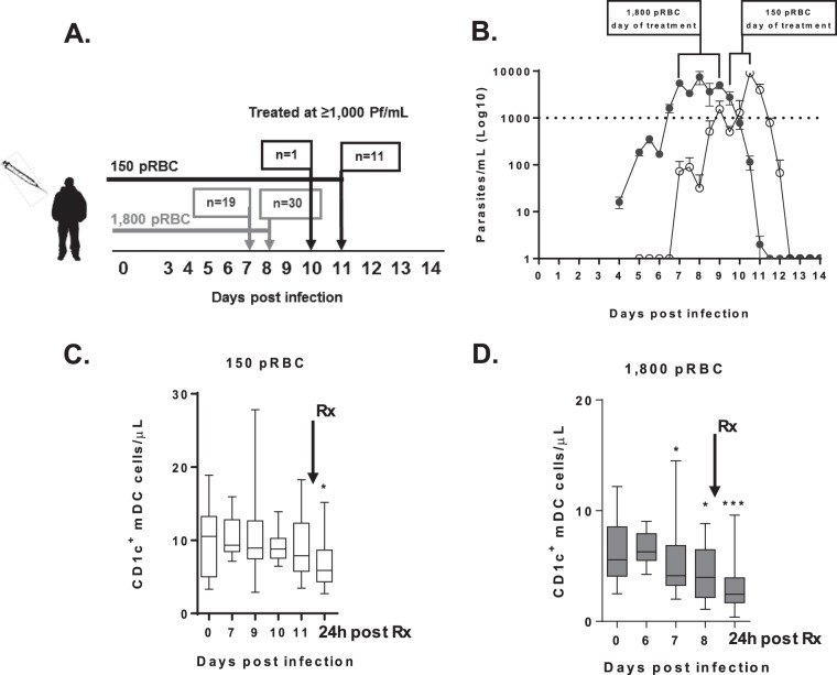 FIG 1