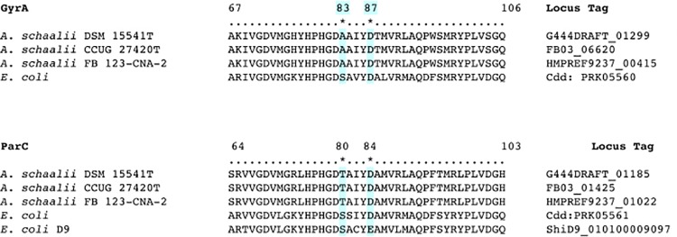 Draft genome sequence of Actinotignum schaalii DSM 15541T: Genetic ...