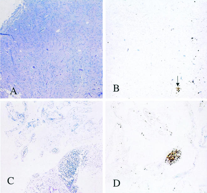 FIG. 7.