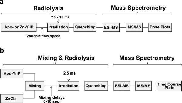 Extended Data Figure 1