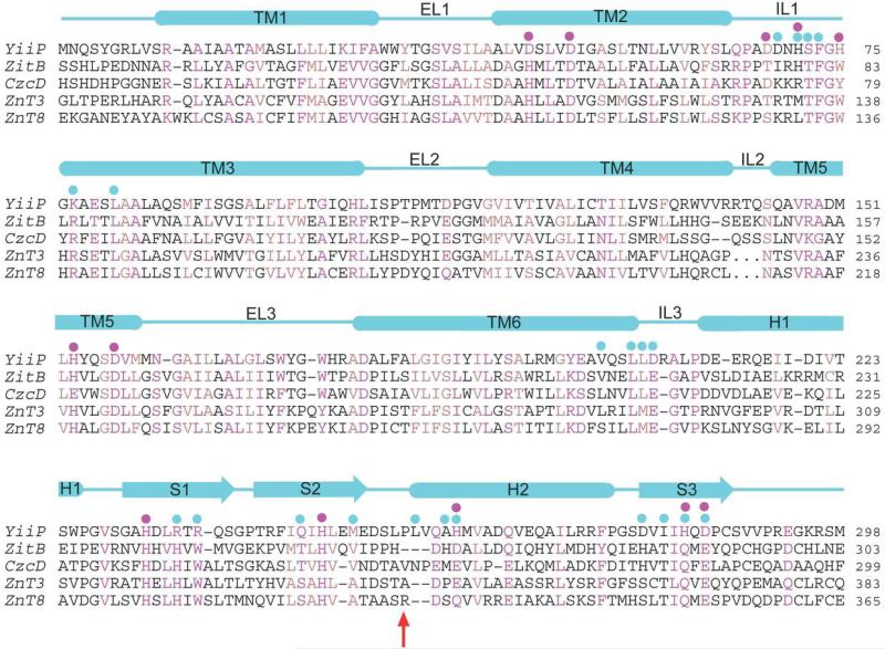 Extended Data Figure 4