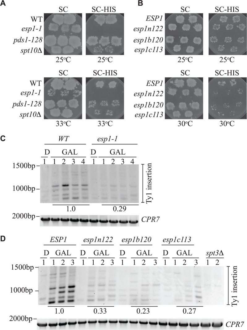 Fig 9