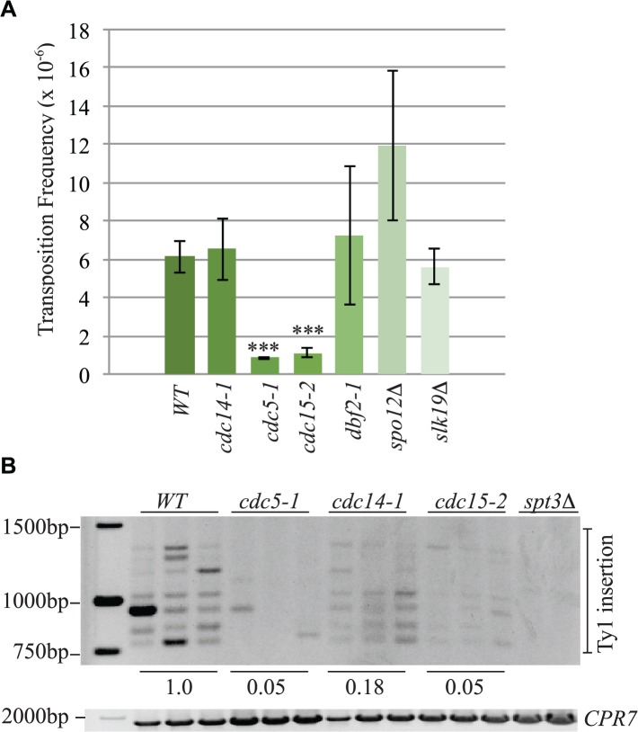 Fig 10