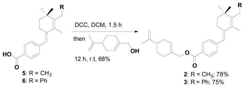 Scheme 5