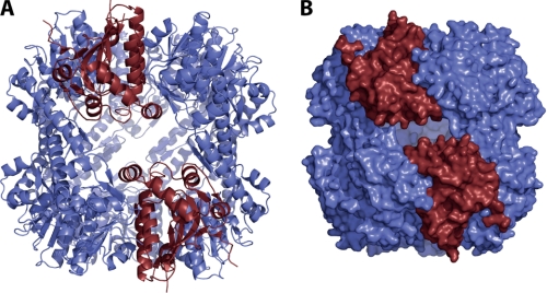 FIGURE 4.