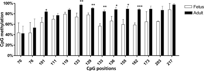 Fig 5