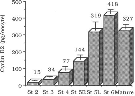 graphic file with name pnas01084-0365-b.jpg