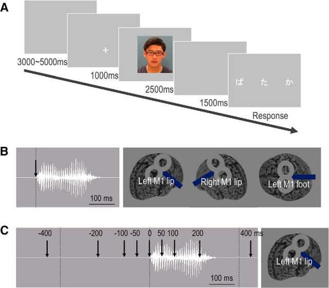 Figure 1.