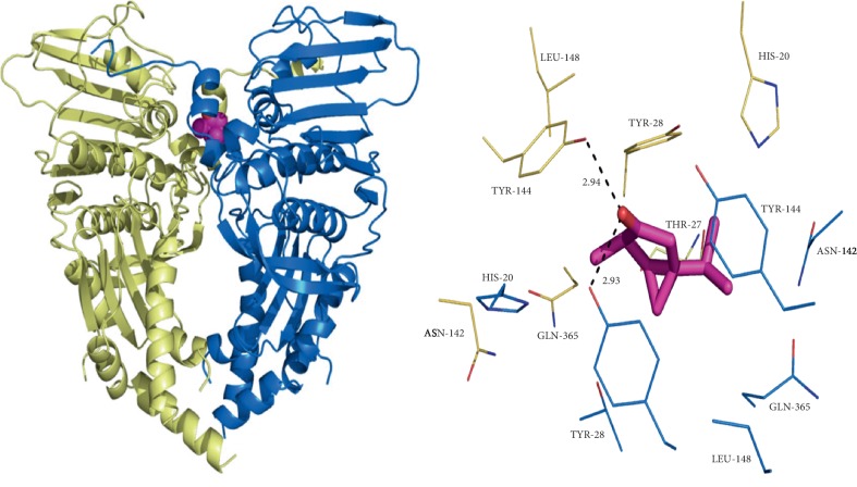 Figure 4