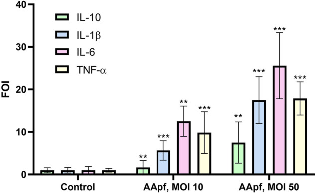 FIGURE 3