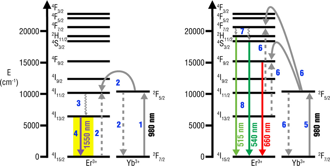 Fig. 4