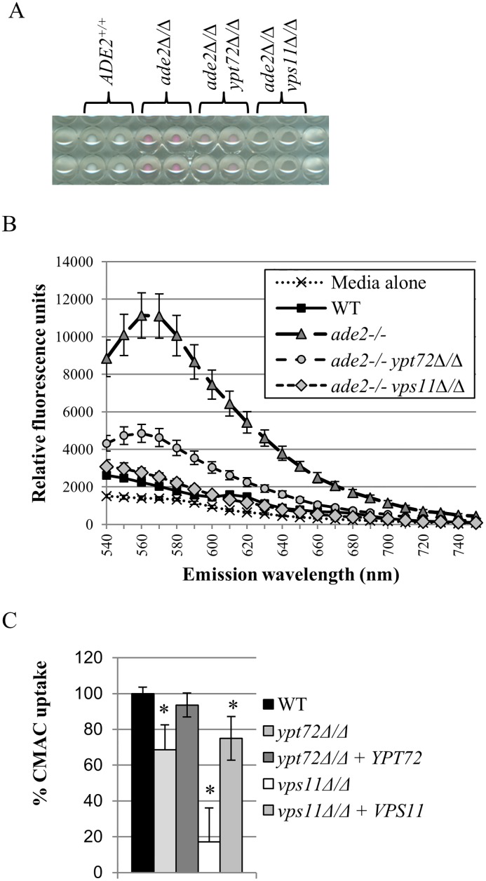 Fig 2