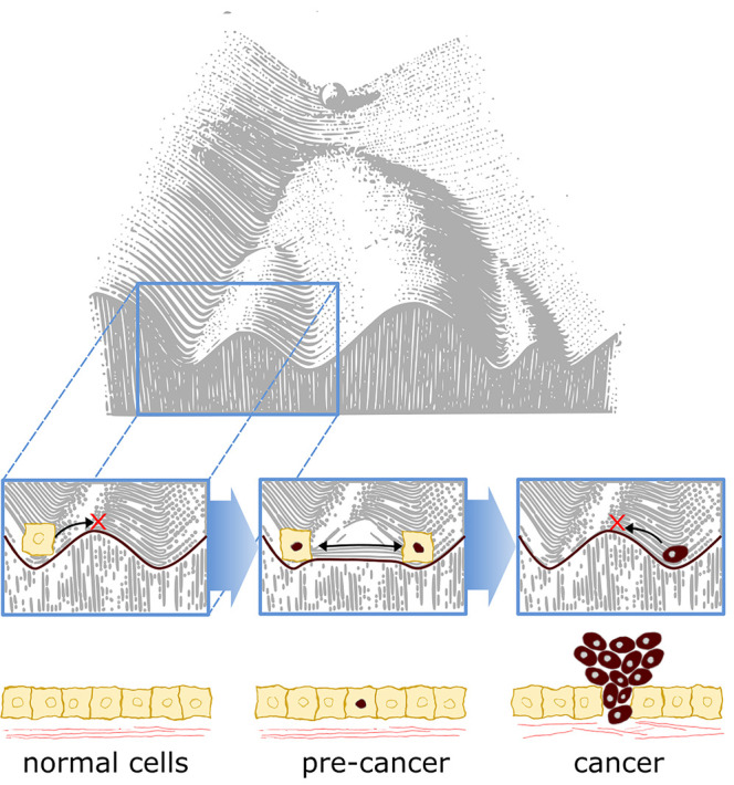 Figure 4.