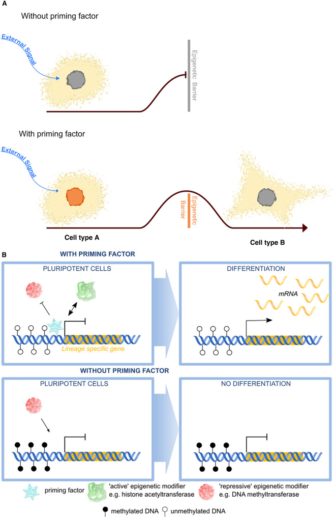 Figure 2.