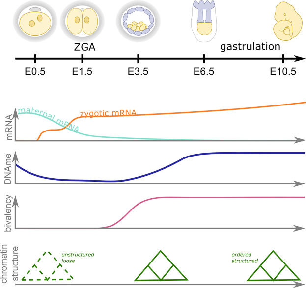 Figure 1.