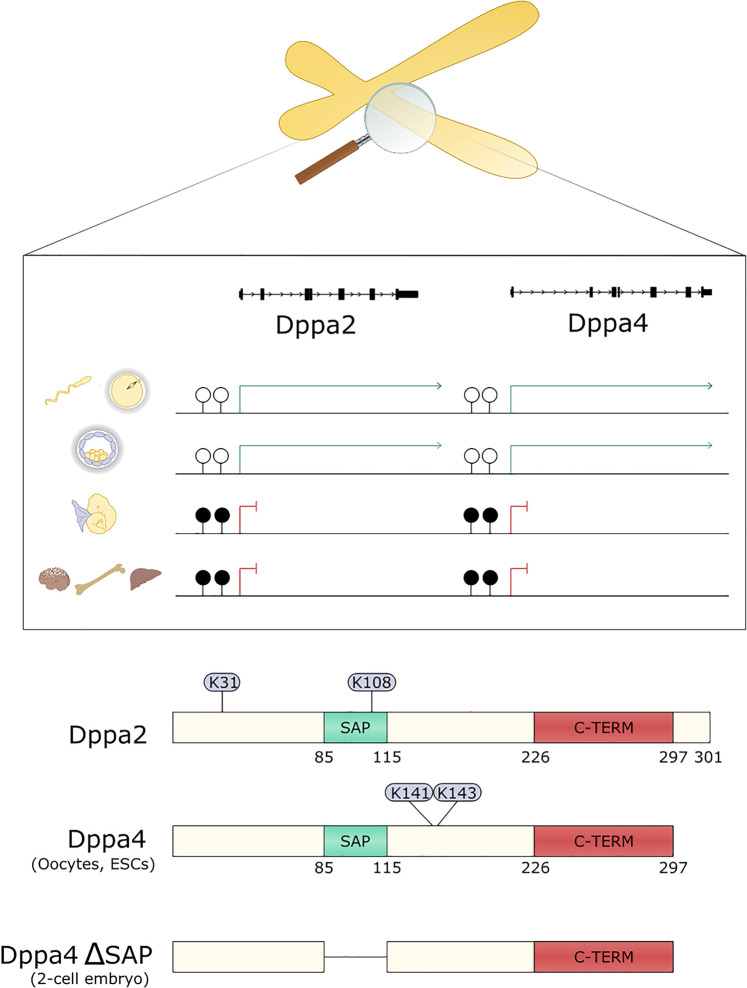 Figure 3.