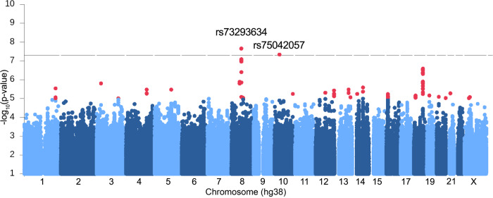 Fig. 1