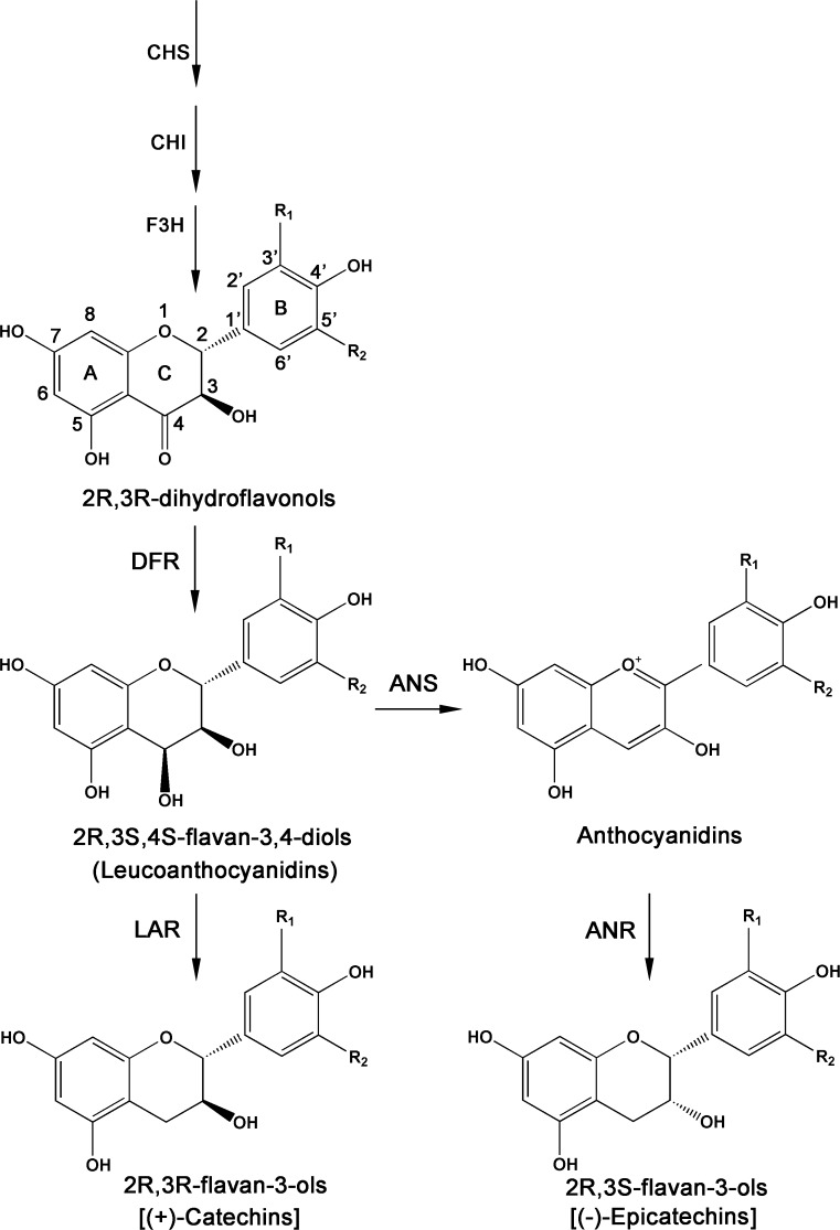 Fig. 1