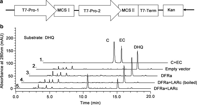 Fig. 4