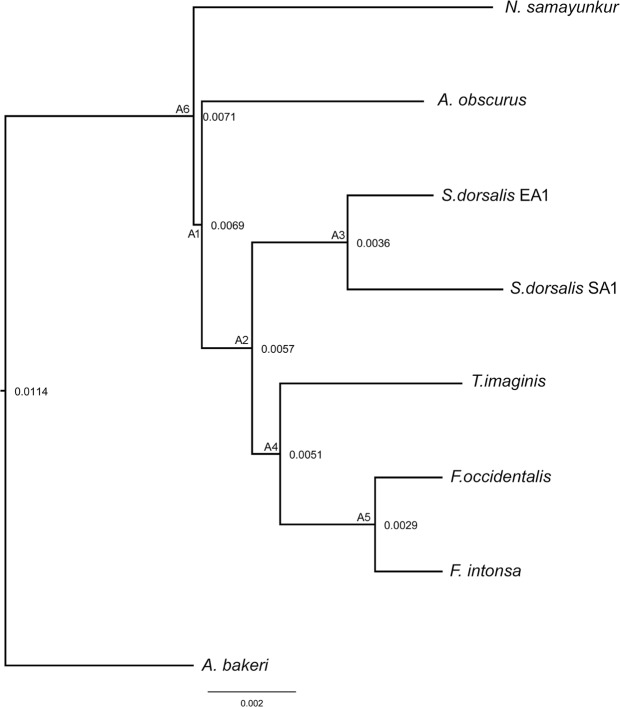 Figure 5