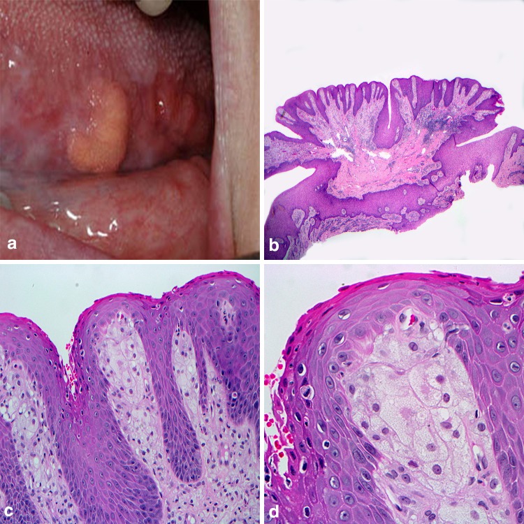 Fig. 4