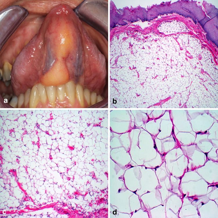 Fig. 7