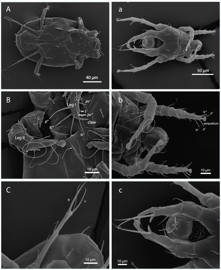 Fig 2