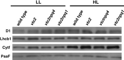 Figure 7.