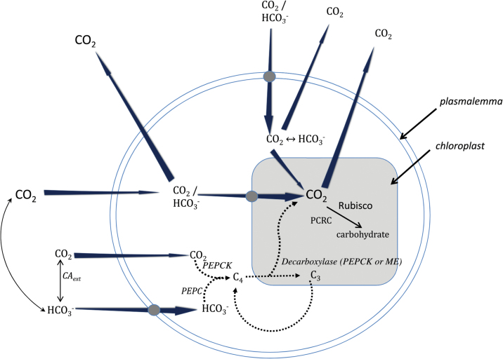 Fig. 2.