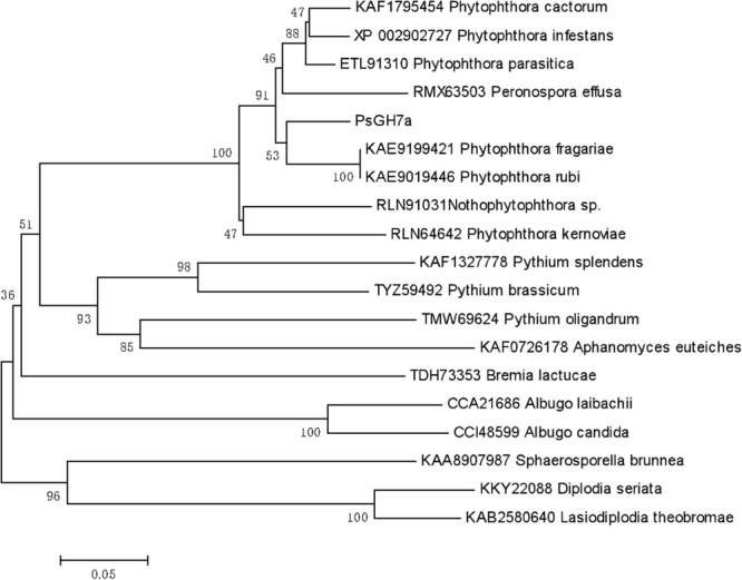 FIGURE 1