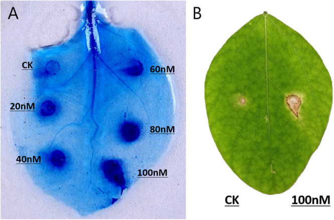 FIGURE 3