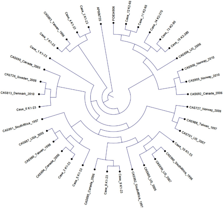 Figure 2