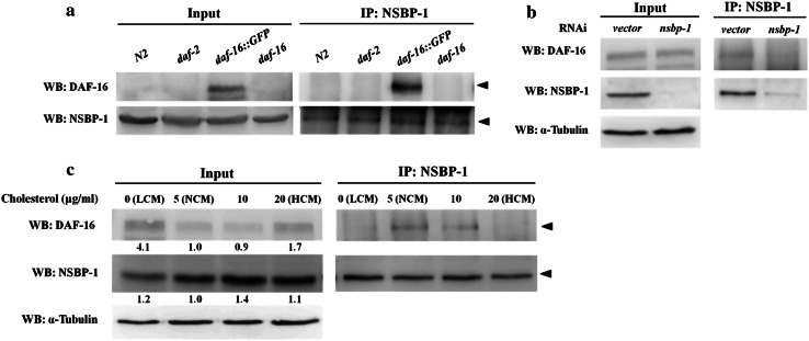 Fig. 5