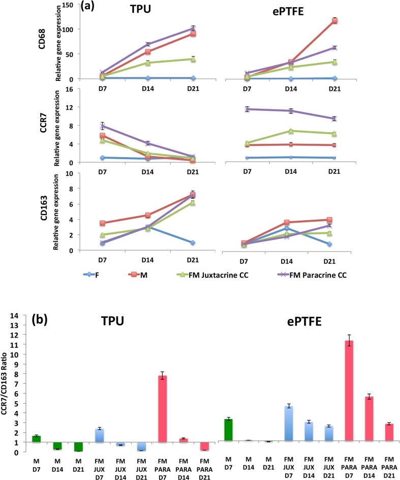 Figure 4