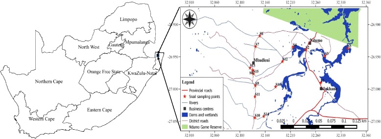 Fig. 1