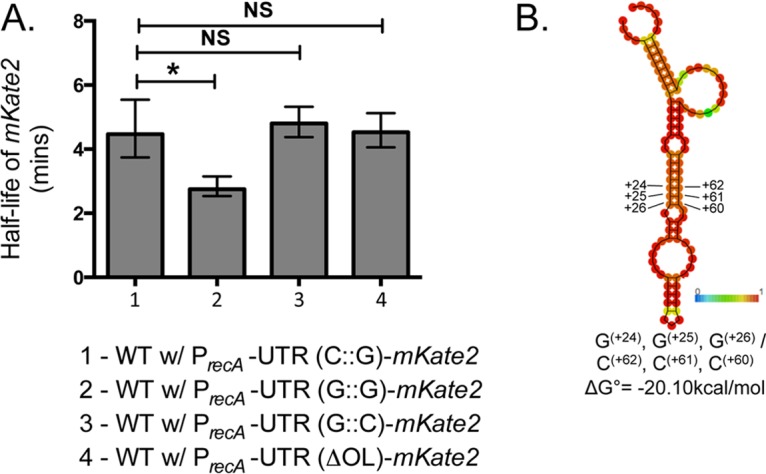 FIG 3