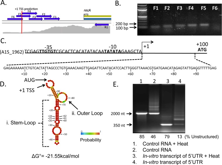 FIG 1