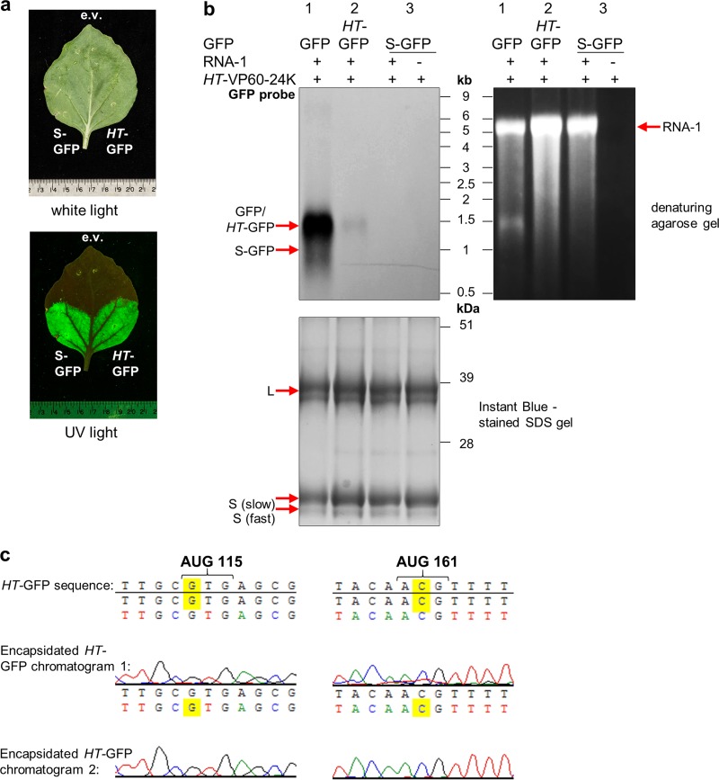 FIG 10