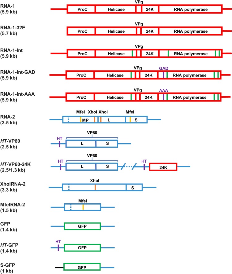 FIG 2