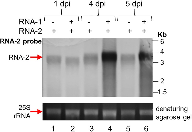 FIG 4