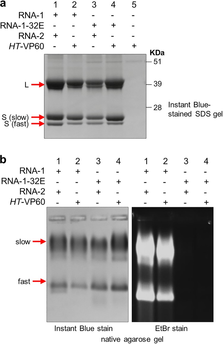 FIG 3