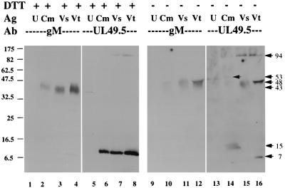 FIG. 8